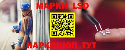apvp Краснодар