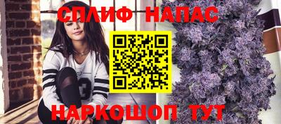 apvp Краснодар