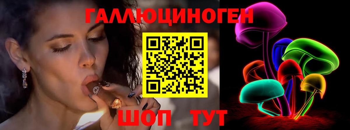 что такое   Вход с VPN  Каменка  Галлюциногенные грибы GOLDEN TEACHER 